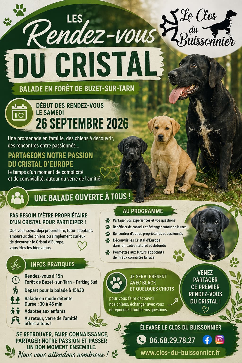 Affiche des Rendez-vous du Cristal : balade en forêt de Buzet-sur-Tarn, samedi 26 septembre 2026